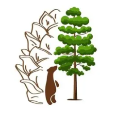 Кедровая тропа